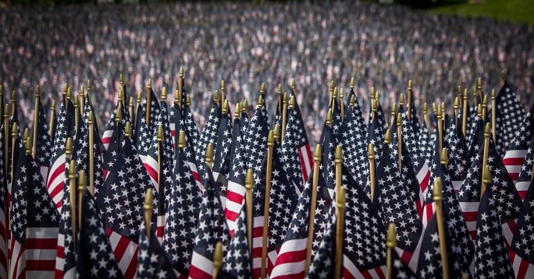 Hundreds of American flags on memorial day