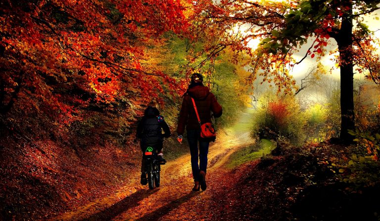 Some fitness challenge ideas - Mother and daughter walking and bike riding through the forest.