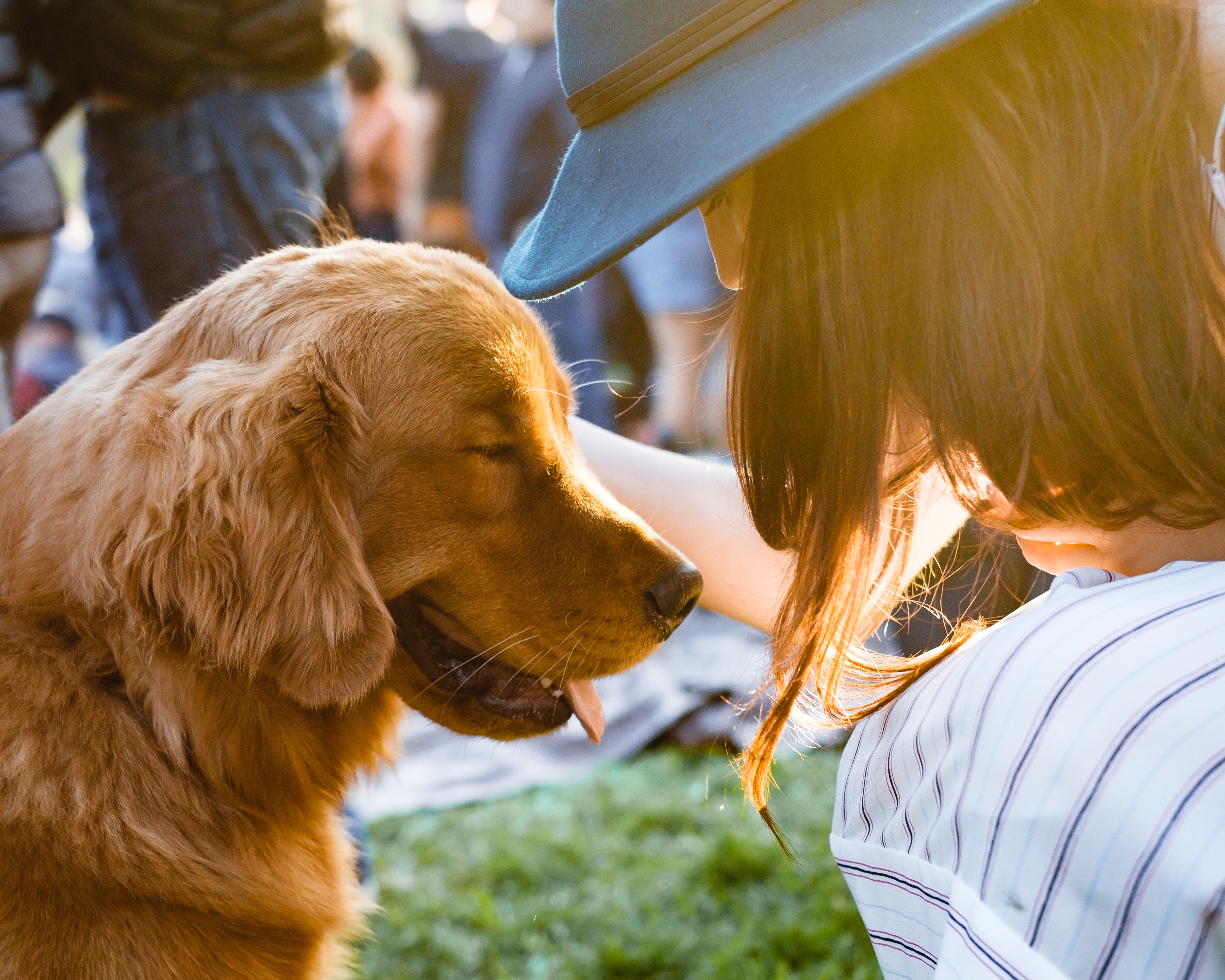 dog lover