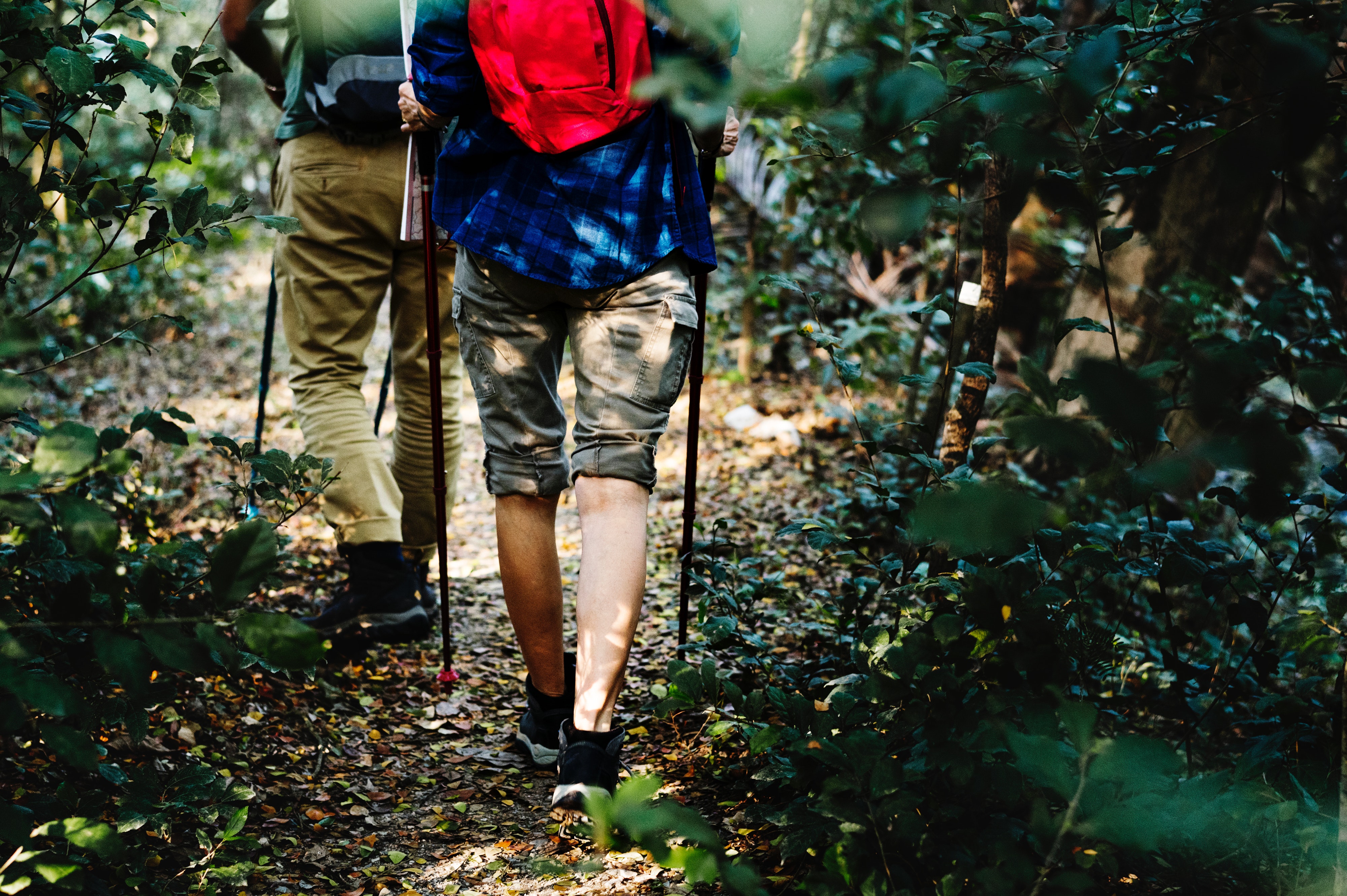 create your own adventure