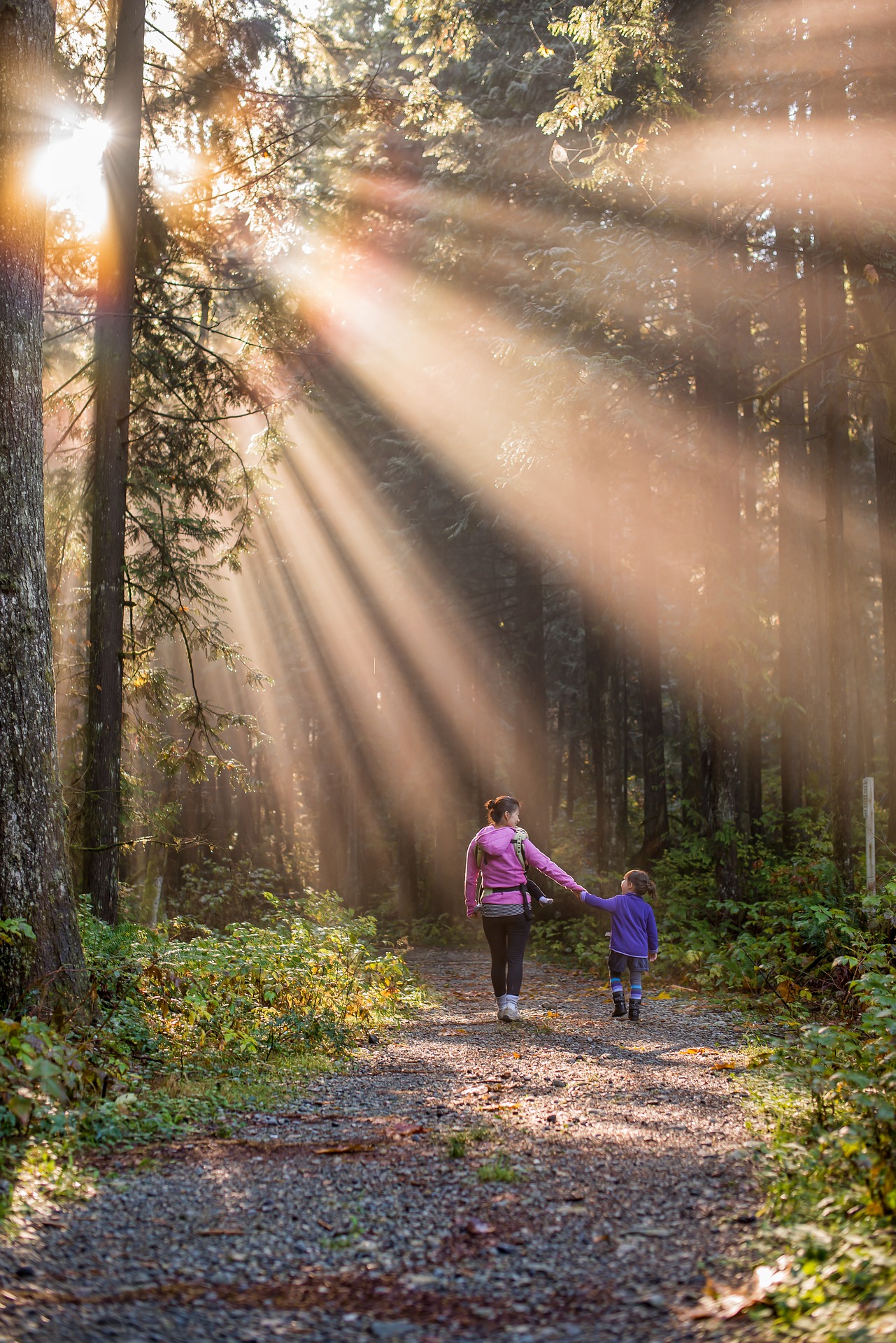 benefits of hiking