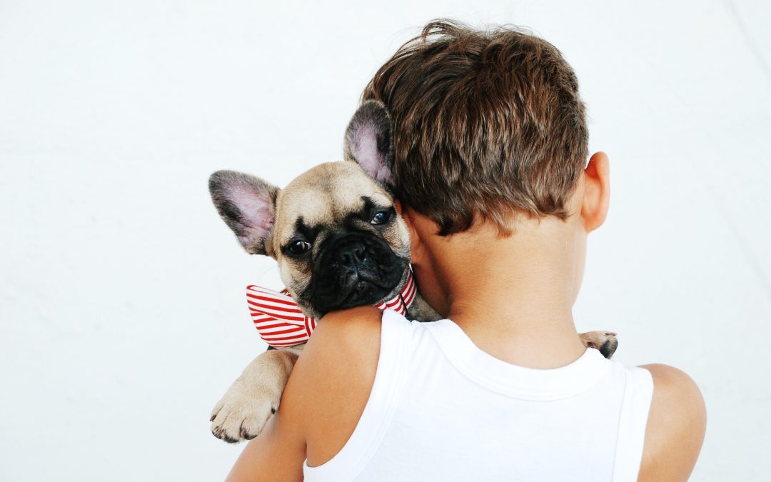 10 Benefits Of Owning A Dog That You Must Know