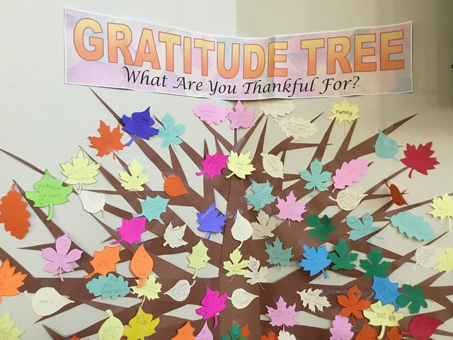 gratitude tree placed in a wall